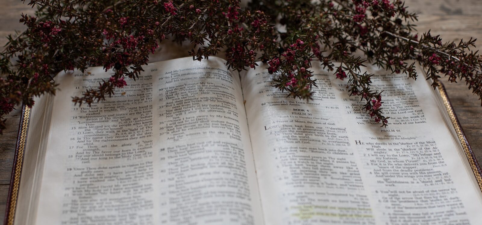 purple flowers on book page