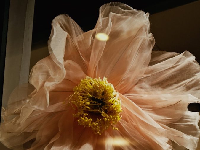a close up of a flower in a vase